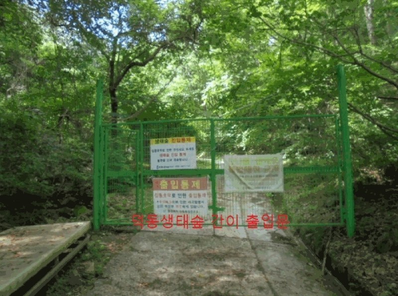 2025타경5354 충청북도 제천시 백운면 덕동리 산22-4 임야 경매 이미지