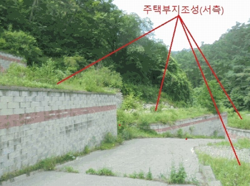 2025타경5354 충청북도 제천시 백운면 덕동리 산22-4 임야 경매 이미지