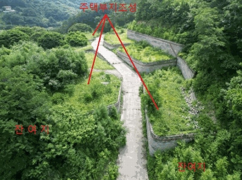 2025타경5354 충청북도 제천시 백운면 덕동리 산22-4 임야 경매 이미지