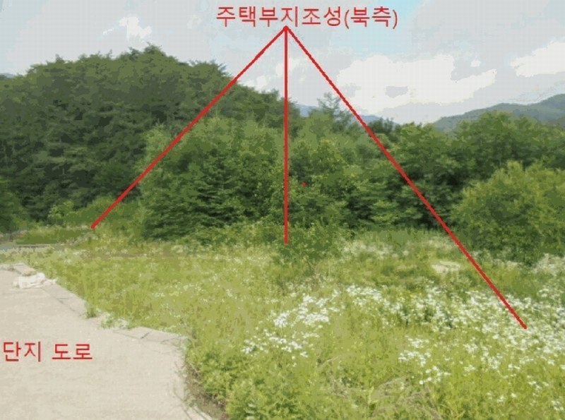 2025타경5354 충청북도 제천시 백운면 덕동리 산22-4 임야 경매 이미지