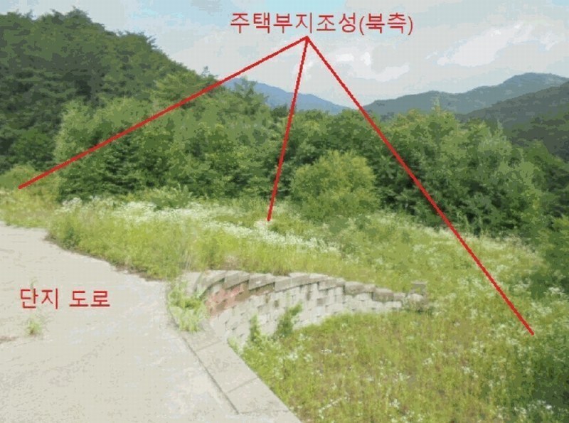 2025타경5354 충청북도 제천시 백운면 덕동리 산22-4 임야 경매 이미지