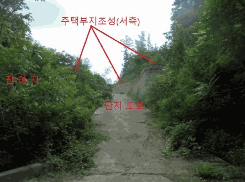 2025타경5354 충청북도 제천시 백운면 덕동리 산22-4 임야 경매 이미지