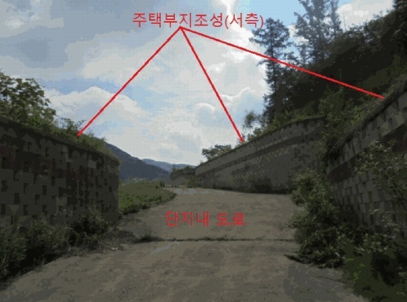 2025타경5354 충청북도 제천시 백운면 덕동리 산22-4 임야 경매 이미지