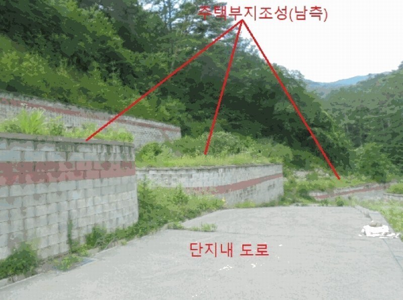 2025타경5354 충청북도 제천시 백운면 덕동리 산22-4 임야 경매 이미지