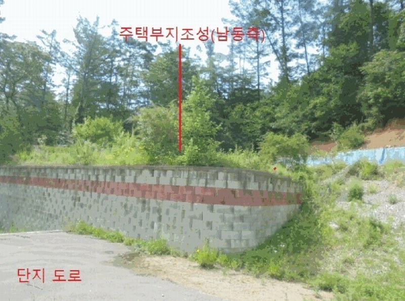 2025타경5354 충청북도 제천시 백운면 덕동리 산22-4 임야 경매 이미지