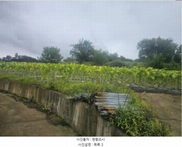 2025타경5358 충청북도 단양군 영춘면 사이곡리 335 농지 경매 이미지
