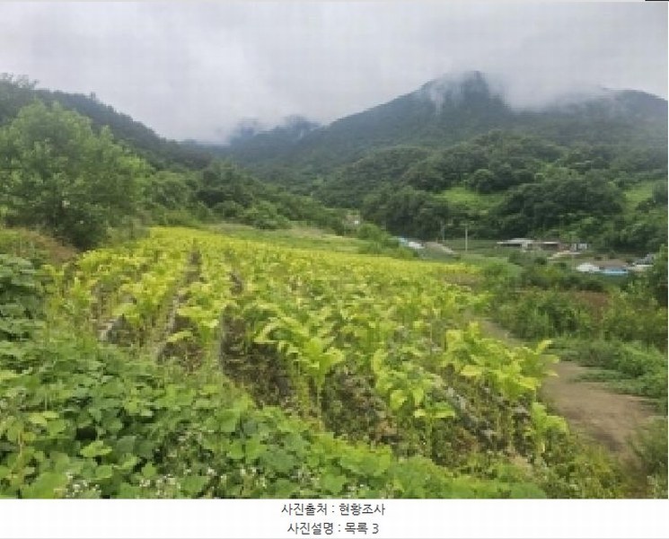 2025타경5358 충청북도 단양군 영춘면 사이곡리 335 농지 경매 이미지
