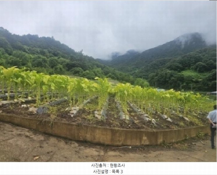 2025타경5358 충청북도 단양군 영춘면 사이곡리 335 농지 경매 이미지