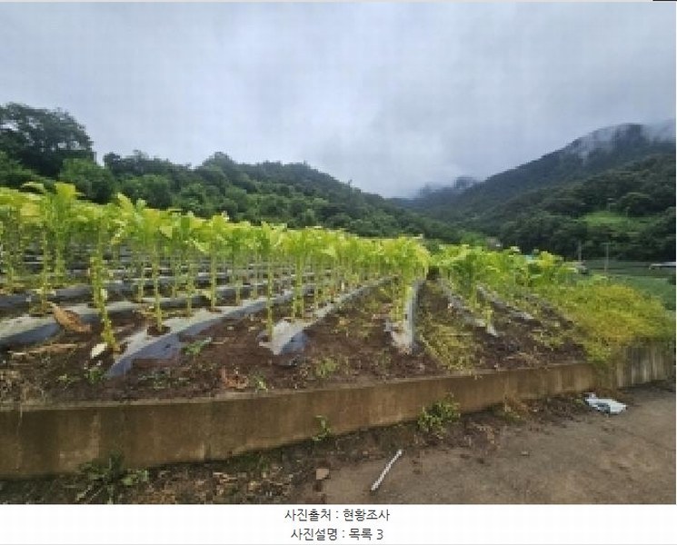 2025타경5358 충청북도 단양군 영춘면 사이곡리 335 농지 경매 이미지