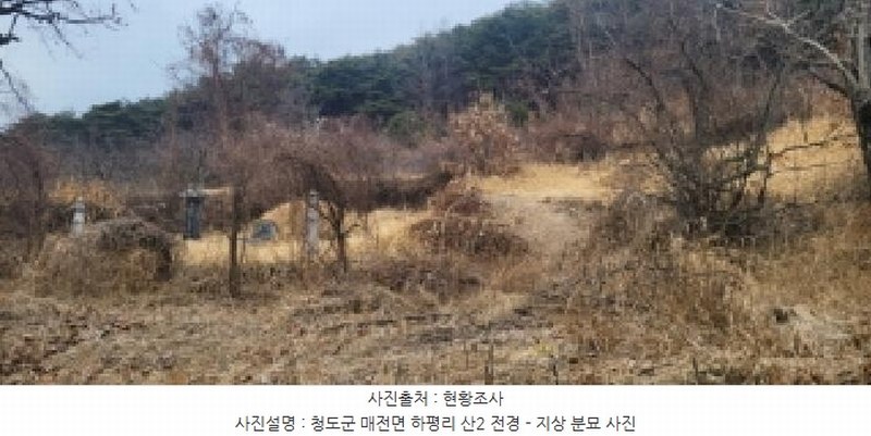 2025타경5360 경상북도 청도군 매전면 하평리 산2 임야 경매 이미지