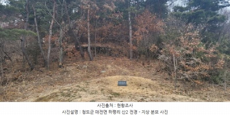 2025타경5360 경상북도 청도군 매전면 하평리 산2 임야 경매 이미지