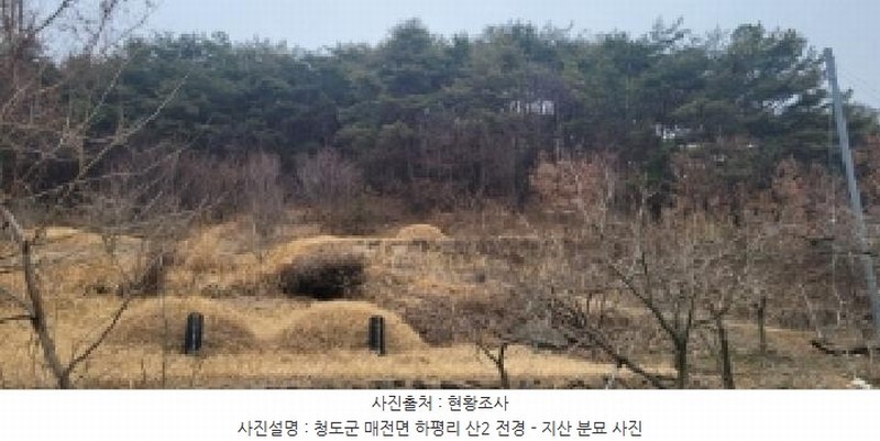 2025타경5360 경상북도 청도군 매전면 하평리 산2 임야 경매 이미지