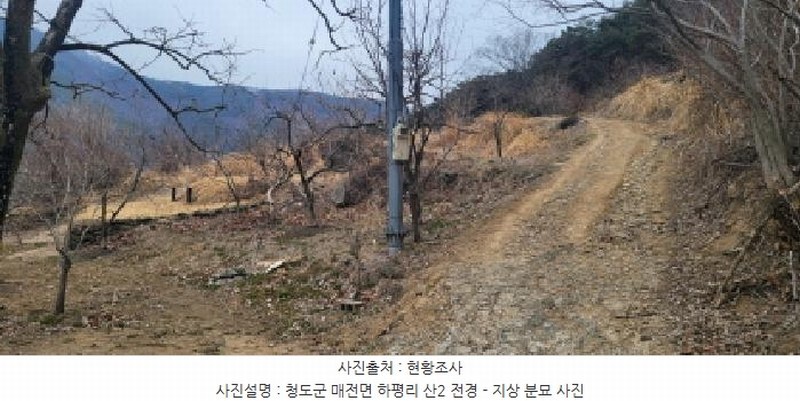 2025타경5360 경상북도 청도군 매전면 하평리 산2 임야 경매 이미지