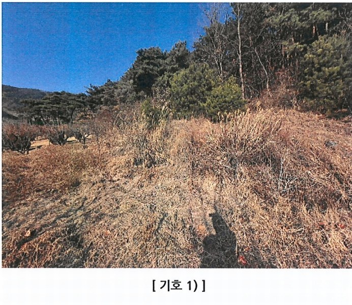 2025타경5360 경상북도 청도군 매전면 하평리 산2 임야 경매 이미지