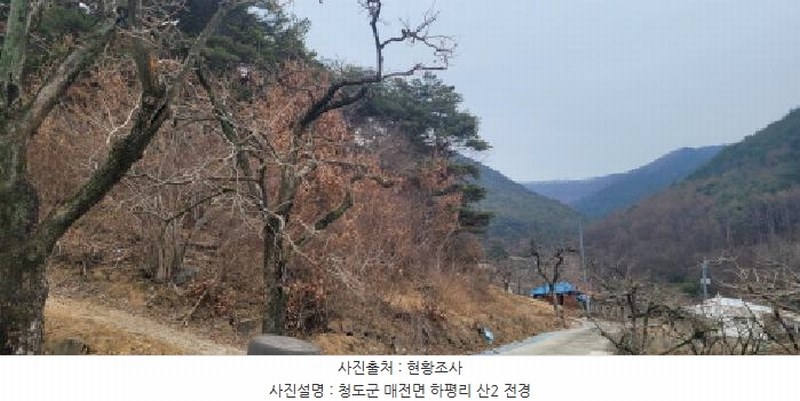 2025타경5360 경상북도 청도군 매전면 하평리 산2 임야 경매 이미지