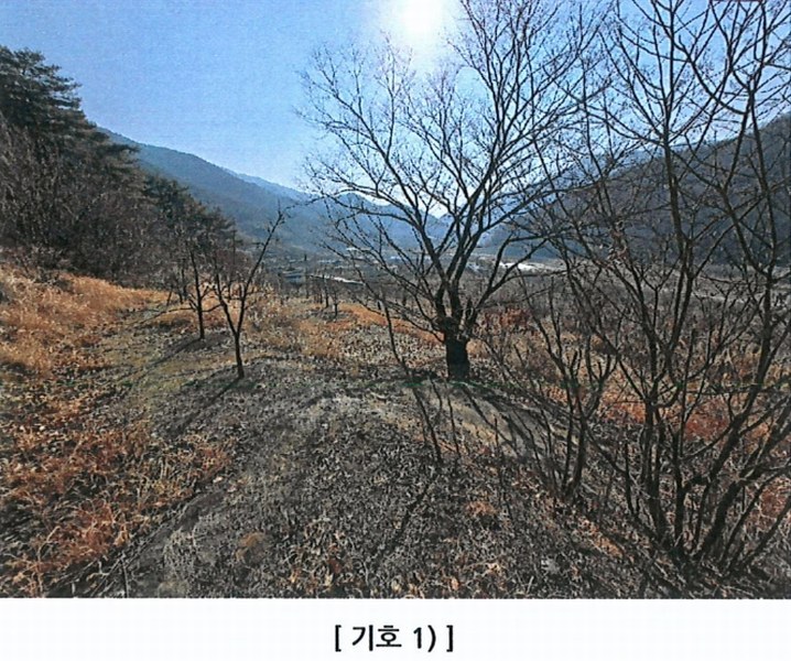 2025타경5360 경상북도 청도군 매전면 하평리 산2 임야 경매 이미지