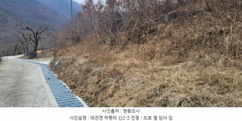 2025타경5360 경상북도 청도군 매전면 하평리 산2 임야 경매 이미지