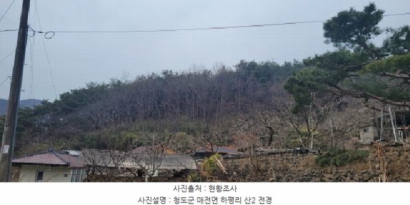 2025타경5360 경상북도 청도군 매전면 하평리 산2 임야 경매 이미지
