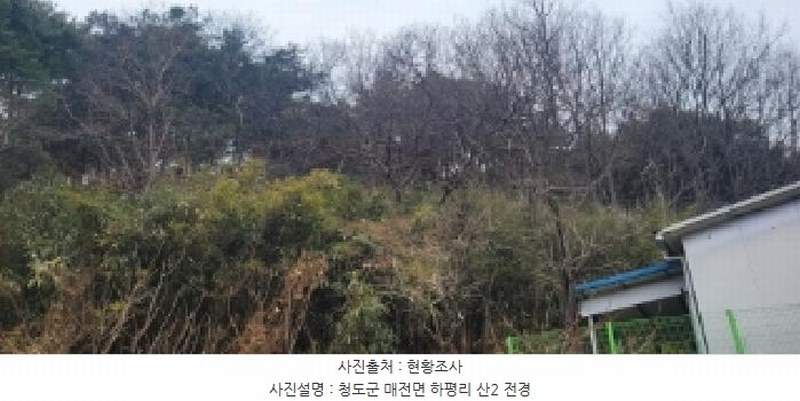 2025타경5360 경상북도 청도군 매전면 하평리 산2 임야 경매 이미지