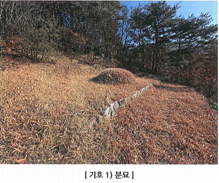 2025타경5360 경상북도 청도군 매전면 하평리 산2 임야 경매 이미지
