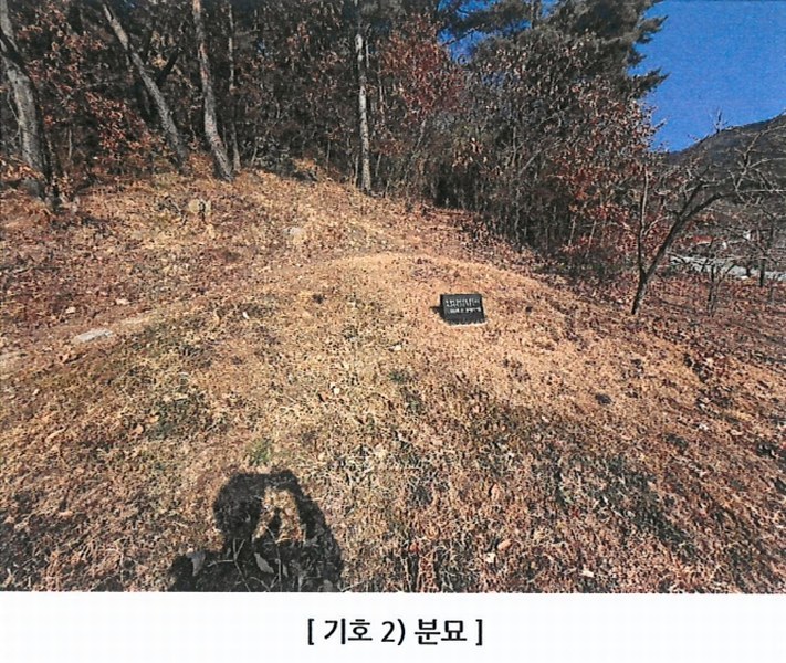 2025타경5360 경상북도 청도군 매전면 하평리 산2 임야 경매 이미지