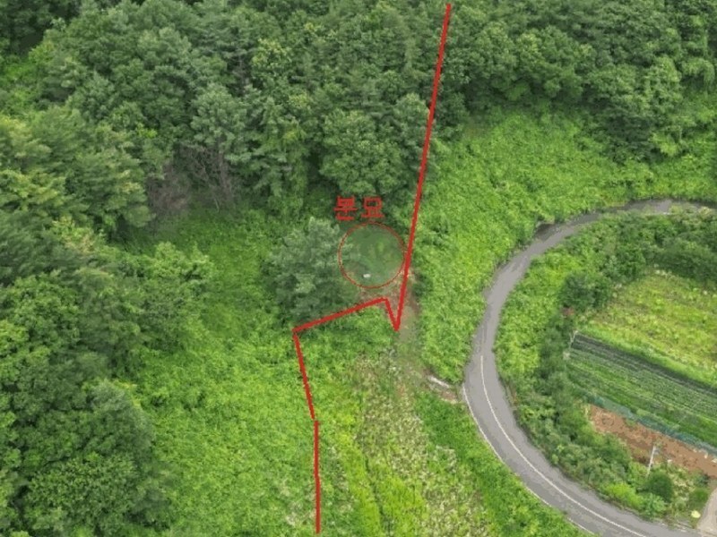 2025타경5364 충청북도 제천시 덕산면 도기리 산54 임야 경매 이미지