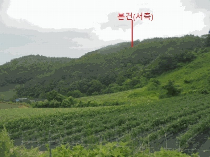 2025타경5364 충청북도 제천시 덕산면 도기리 산54 임야 경매 이미지