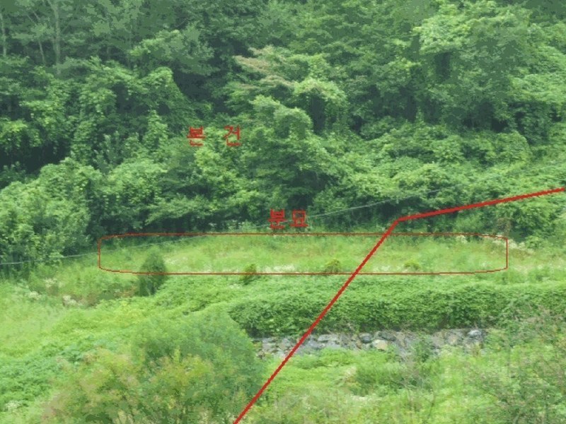 2025타경5364 충청북도 제천시 덕산면 도기리 산54 임야 경매 이미지