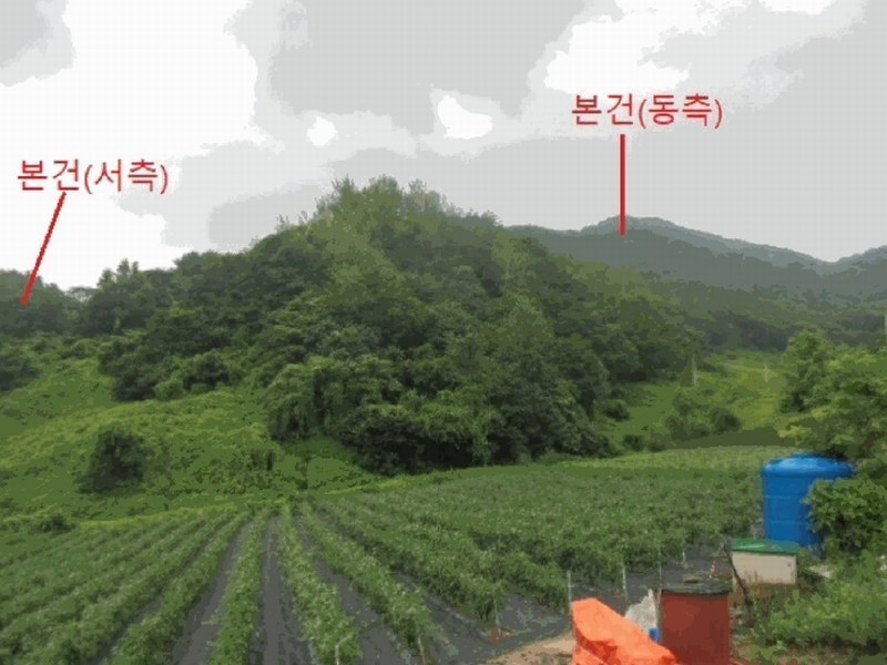 2025타경5364 충청북도 제천시 덕산면 도기리 산54 임야 경매 이미지