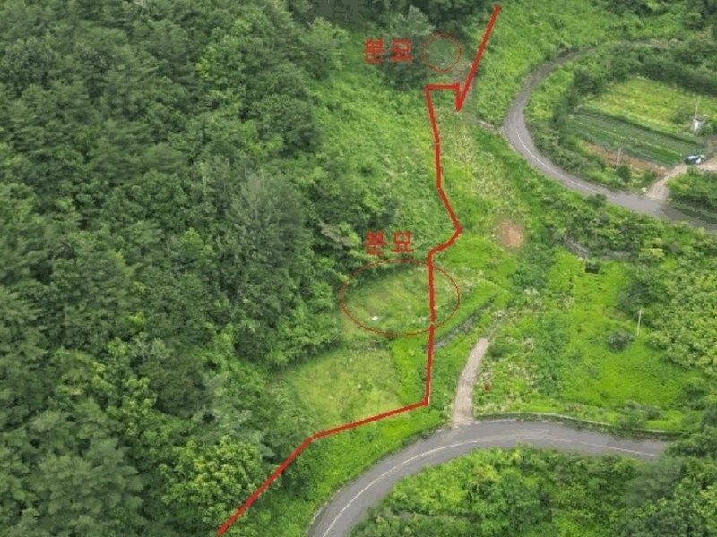 2025타경5364 충청북도 제천시 덕산면 도기리 산54 임야 경매 이미지