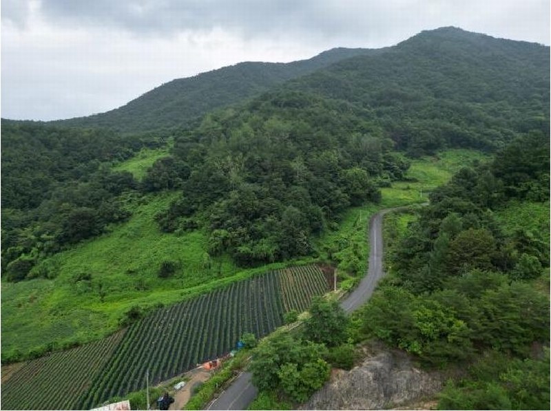 2025타경5364 충청북도 제천시 덕산면 도기리 산54 임야 경매 이미지
