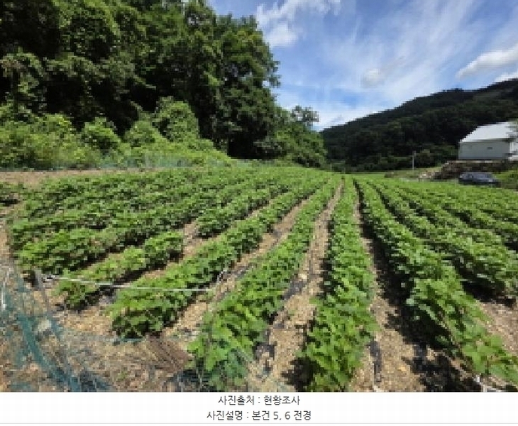 2025타경5370 충청북도 제천시 수산면 내리 396-2 농지 경매 이미지
