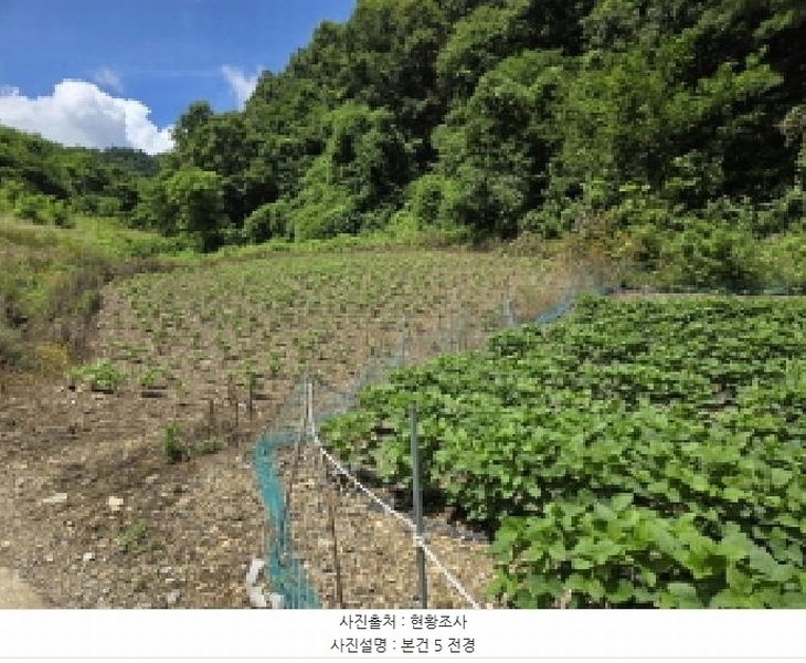 2025타경5370 충청북도 제천시 수산면 내리 396-2 농지 경매 이미지