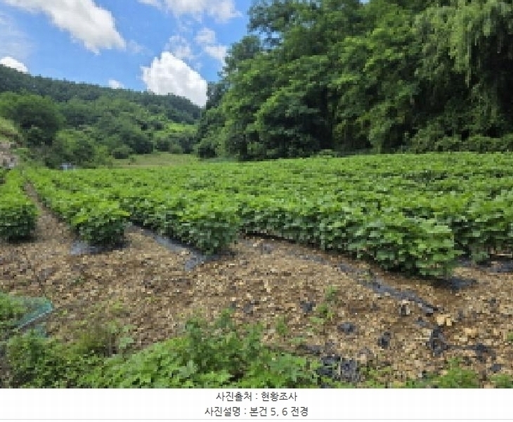 2025타경5370 충청북도 제천시 수산면 내리 396-2 농지 경매 이미지