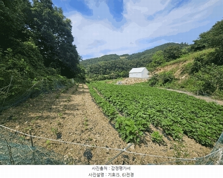 2025타경5370 충청북도 제천시 수산면 내리 396-2 농지 경매 이미지