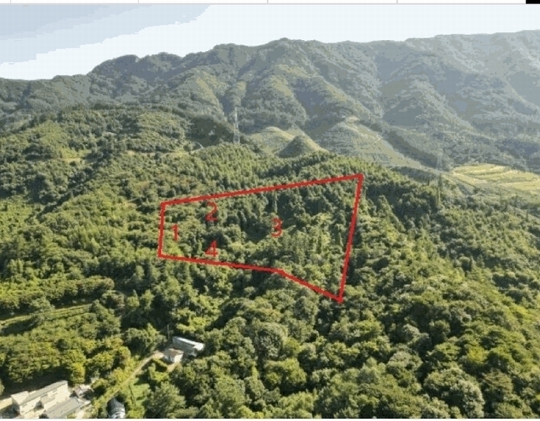 2025타경5374 충청북도 단양군 적성면 하원곡리 106-2 임야 경매 이미지