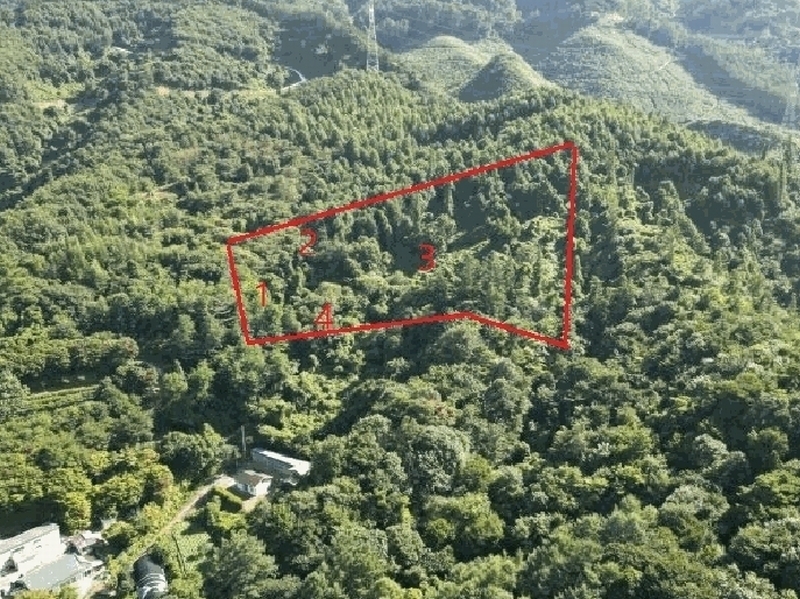 2025타경5374 충청북도 단양군 적성면 하원곡리 106-2 임야 경매 이미지