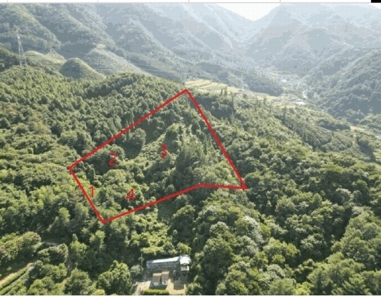 2025타경5374 충청북도 단양군 적성면 하원곡리 106-2 임야 경매 이미지