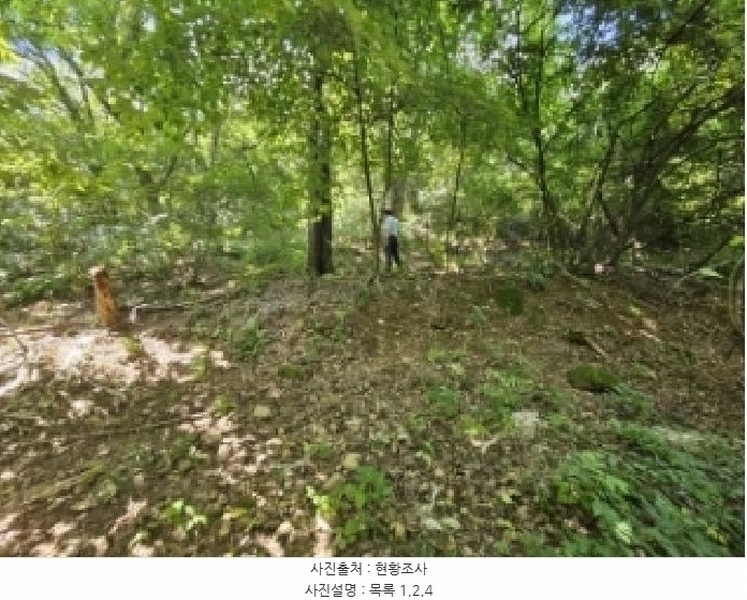2025타경5374 충청북도 단양군 적성면 하원곡리 106-2 임야 경매 이미지
