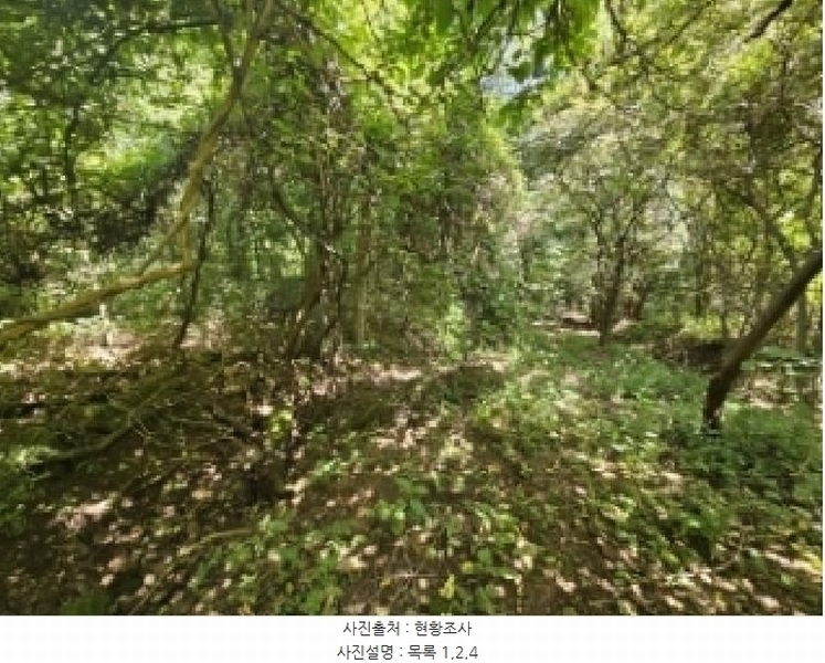 2025타경5374 충청북도 단양군 적성면 하원곡리 106-2 임야 경매 이미지