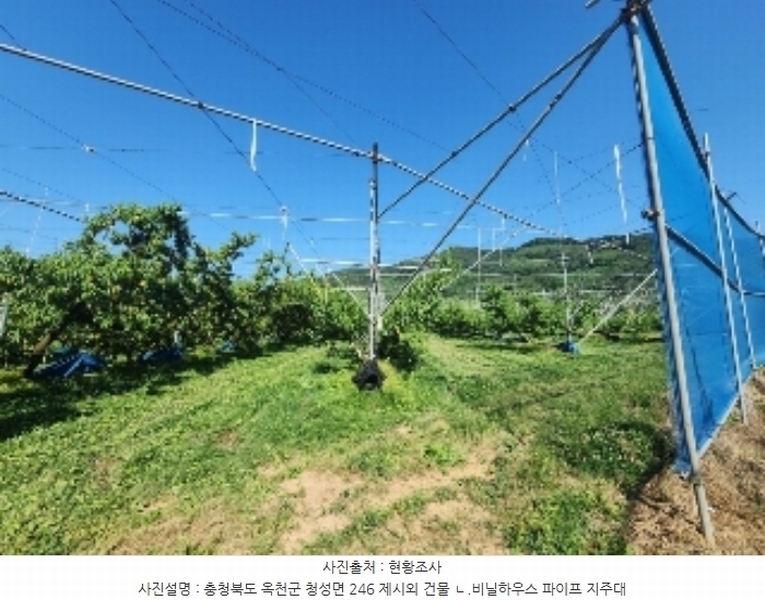 2024타경476 충청북도 옥천군 청성면 능월리 246 임야 경매 이미지
