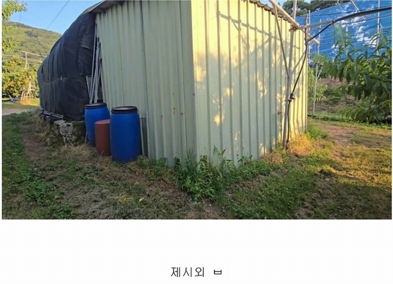2024타경476 충청북도 옥천군 청성면 능월리 246 임야 경매 이미지