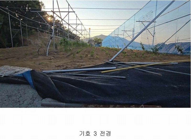 2024타경476 충청북도 옥천군 청성면 능월리 246 임야 경매 이미지