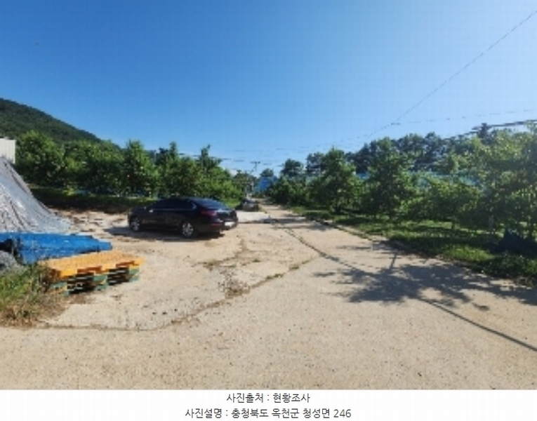 2024타경476 충청북도 옥천군 청성면 능월리 246 임야 경매 이미지