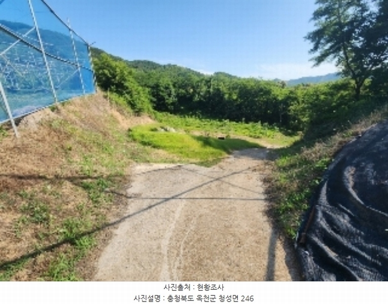 2024타경476 충청북도 옥천군 청성면 능월리 246 임야 경매 이미지