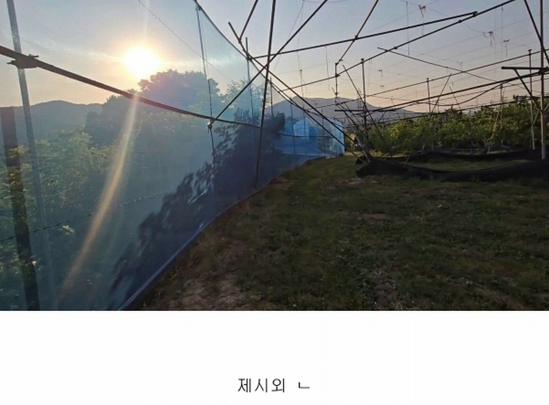 2024타경476 충청북도 옥천군 청성면 능월리 246 임야 경매 이미지