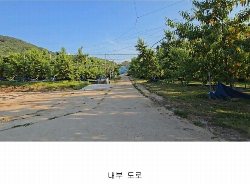 2024타경476 충청북도 옥천군 청성면 능월리 246 임야 경매 이미지