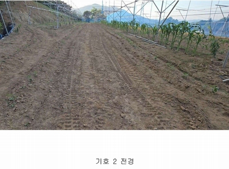 2024타경476 충청북도 옥천군 청성면 능월리 246 임야 경매 이미지