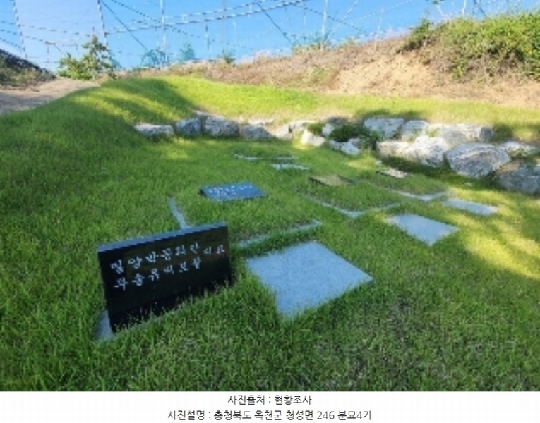2024타경476 충청북도 옥천군 청성면 능월리 246 임야 경매 이미지