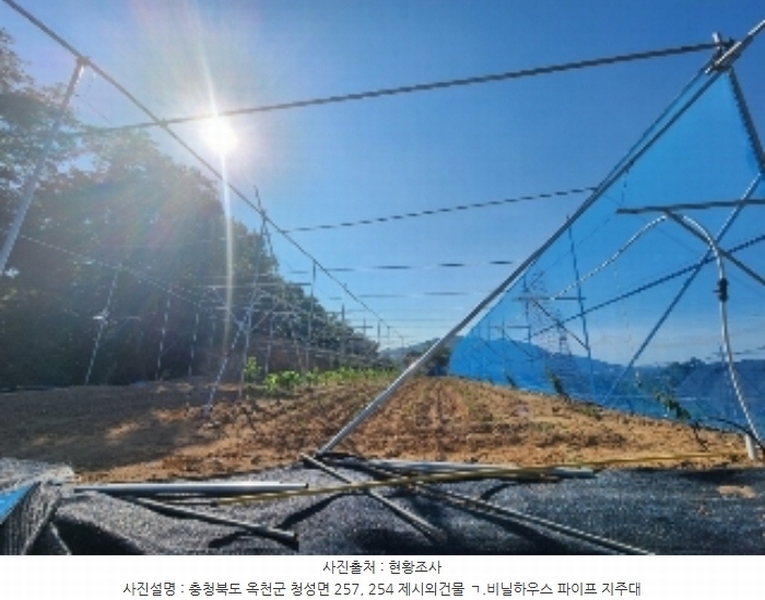 2024타경476 충청북도 옥천군 청성면 능월리 246 임야 경매 이미지